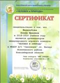 организатор международного игрового конкурса в ДОУ "Человек и природа", 2019 год организатор международного игрового конкурса в ДОУ "Человек и природа", 2019 год